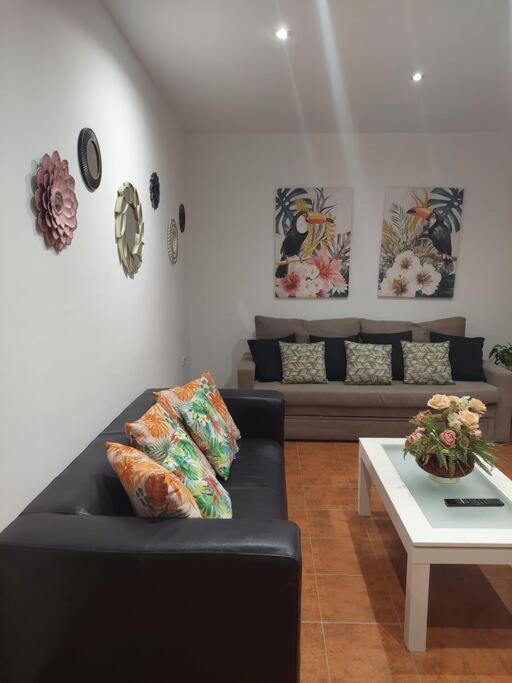 Apartamento Santa Maria Cádiz Exteriér fotografie